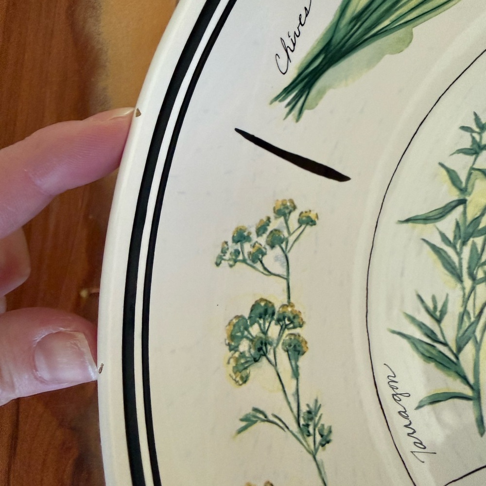 Williams-Sonoma 13” White Ceramic serving bowl with painted culinary herbs GUC - Picture 10 of 13